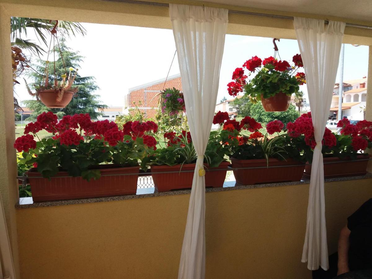 Apartman Luka Fažana エクステリア 写真